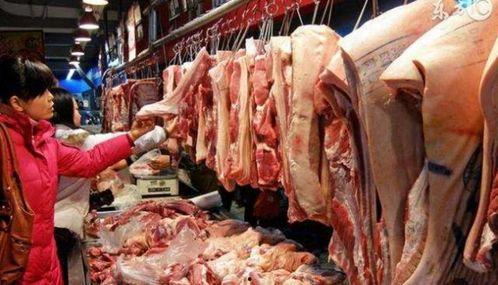 猪肉爆料视频大全集,揭秘行业真相与食品安全