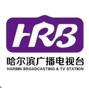 哈尔滨微头条最新爆料,揭秘神秘事件背后真相！